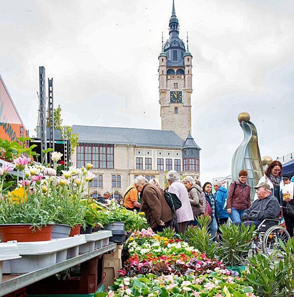 Der regionale Bauernmarkt findet wieder in Dessau statt.