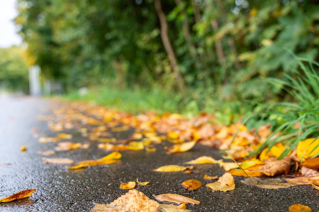 Der Herbst hält so langsam Einzug in Sachsen-Anhalt, was sich auch am Wetter zeigt.