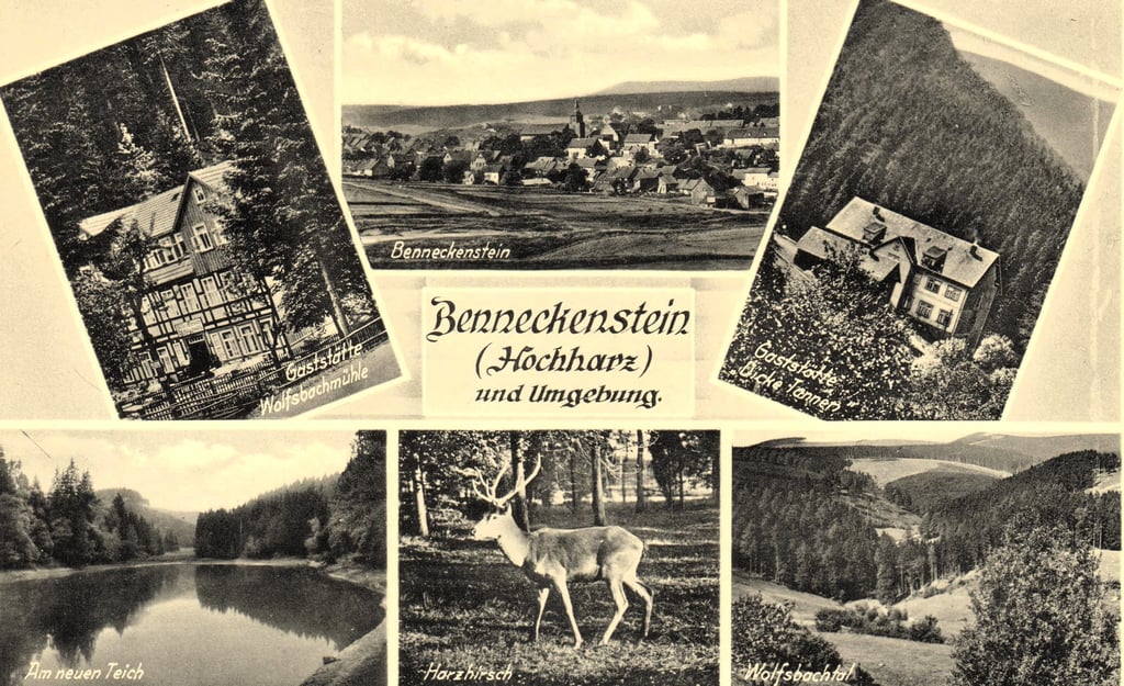 Auf dieser Ansichtskarte aus den 1930er Jahren wirbt Benneckenstein mit seinen schönen Ausflugszielen in Richtung Hohegeiß.