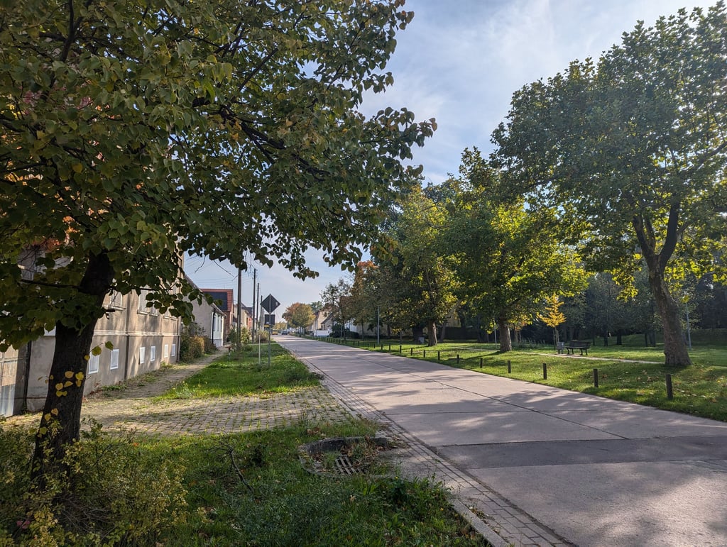 Blick in die Woltersdorfer Hauptstraße auf Höhe des Parks.