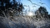 Tagsüber erwartet der DWD milde Temperaturen - in der Nacht Nebel und Frost. (Symbolbild)