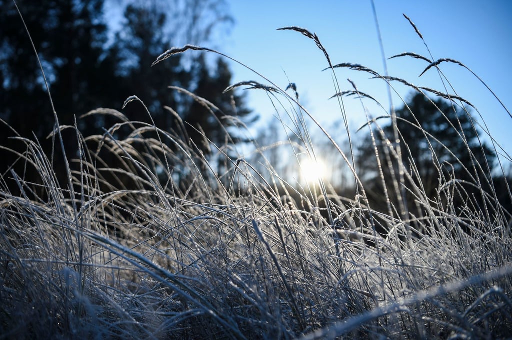 Tagsüber erwartet der DWD milde Temperaturen - in der Nacht Nebel und Frost. (Symbolbild)
