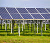 Geplant ist eine Solaranlage auf fünf Hektarn. 