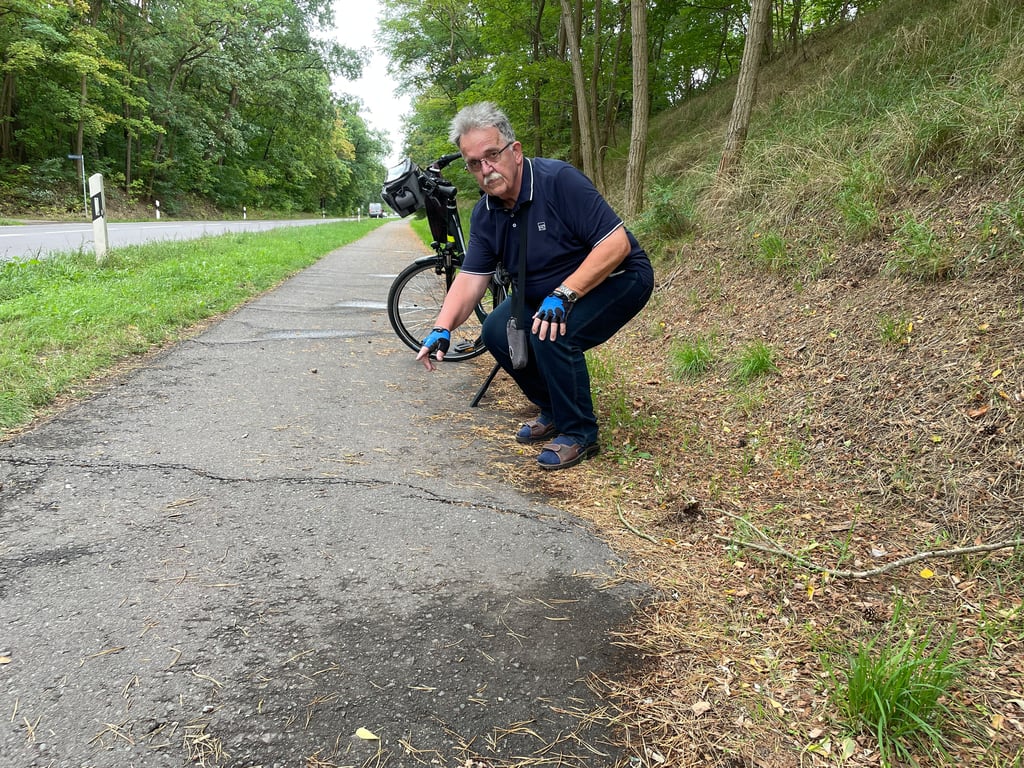 Udo Brämer aus Gommern fährt auf dem Radweg zwischen Gommern und Plötzy und ärgert sich über Baumwurzeln, die den Asphalt anheben