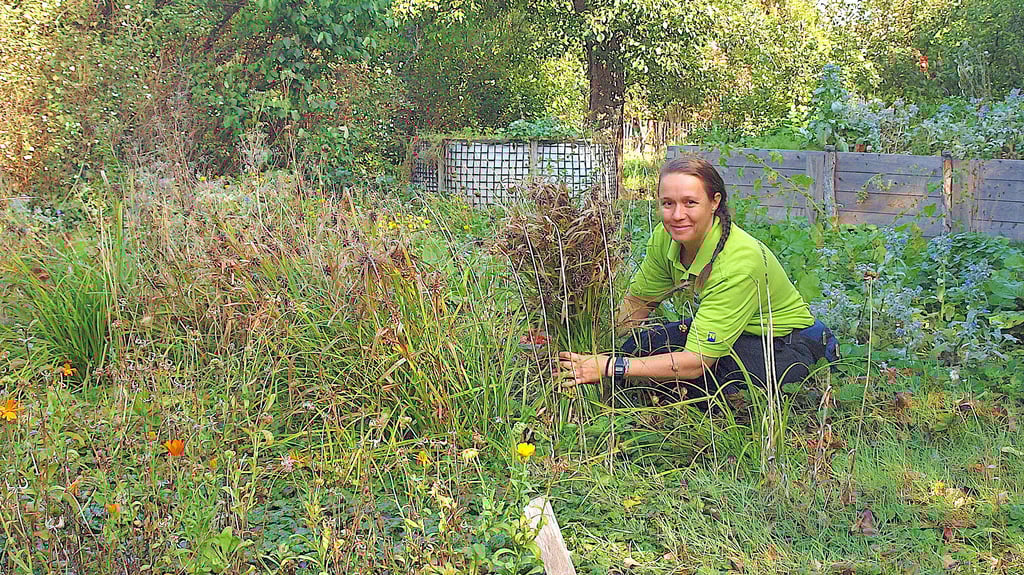 Anja Bäthge bindet Stauden in Herbstgarten zusammen und schafft so Lebensraum für Nützlinge zum Überwintern.