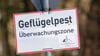 Nach dem Ausbruch der Geflügelpest in Ostthüringen gelten Sperr- und Überwachungszonen. (Symbolbild)