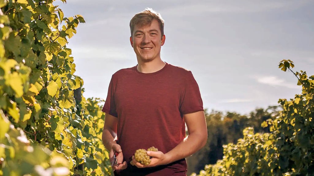 Winzer Johannes Zwicker spürt bislang nur wenig Nachfrage nach alkoholfreiem Wein.