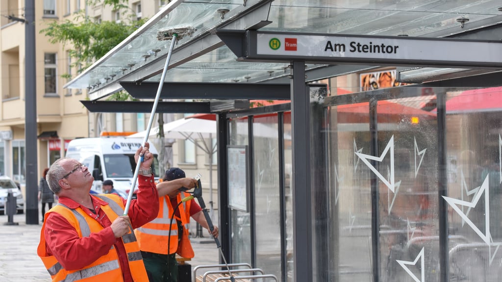 Frisch geputzt sind die Scheiben an Haltestellen besonders durchsichtig. Für Vögel ist das gefährlich.