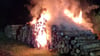 Der brennende Holzpolter: Die Dessauer Feuerwehren wurden gegen 22 Uhr alarmiert.