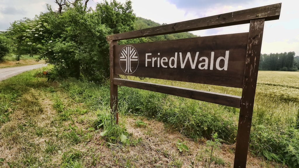 Die Zufahrt zum Friedwald bei Sangerhausen.