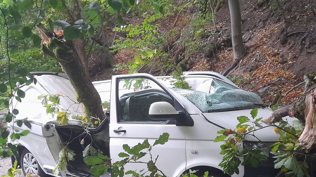 Ein Transporter am Waldhotel am Ilsestein in Ilsenburg wurde von einem umfallenden Baum zerstört.
