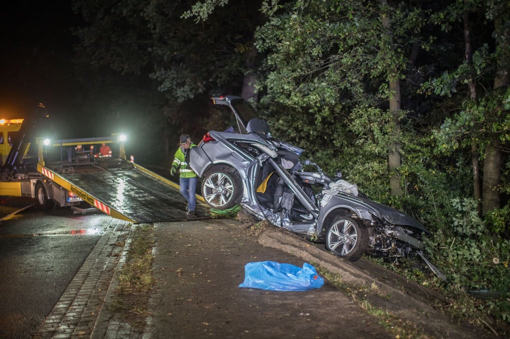 Beim vierten Baum soll das Auto zum Stehen gekommen sein.