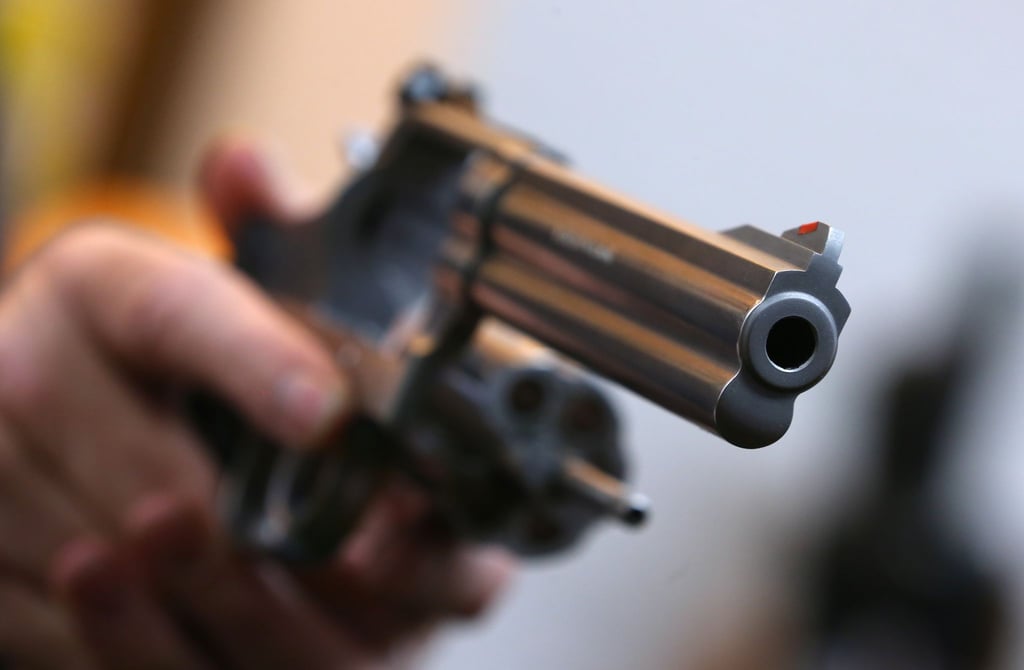 Statt Pilzen fand eine Familie im Norden von Sachsen-Anhalt einen Revolver. (Symbolbild)
