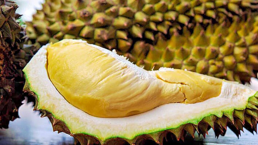 Eine Durian-Frucht