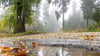 Der Oktober startet mit schmuddeligem Herbstwetter.