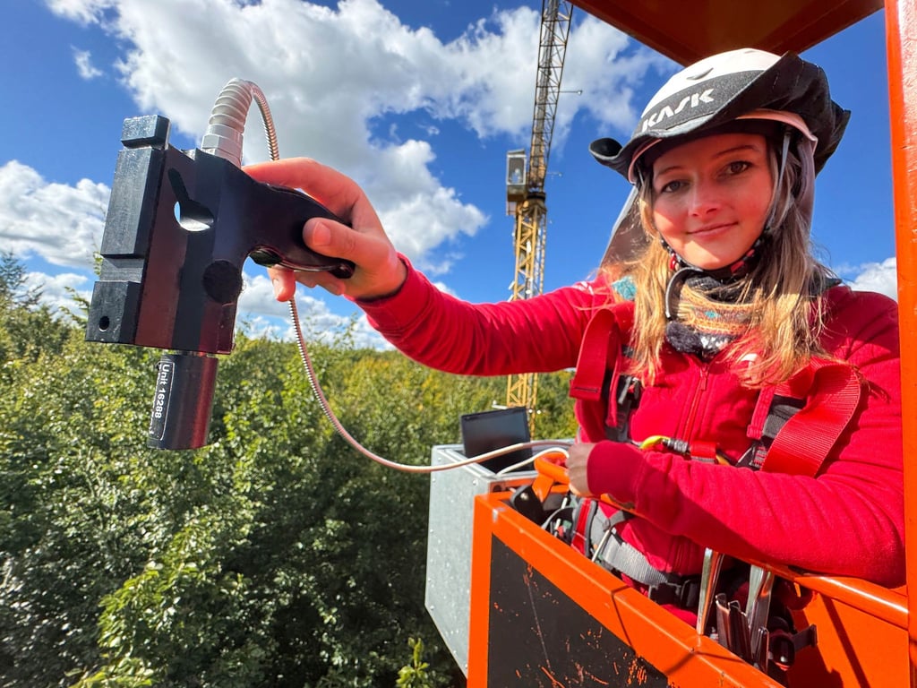 Für Pia Kräft ist die Gondel am 45 Meter hohen Drehkran, der zu Forschungszwecken in einem Wald bei Demmin steht, der „schönste Arbeitsplatz, den man sich vorstellen kann“.