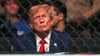 Trump gilt als Fan der Kampfsport-Liga UFC und saß mehrfach selbst im Publikum. (Archivbild)