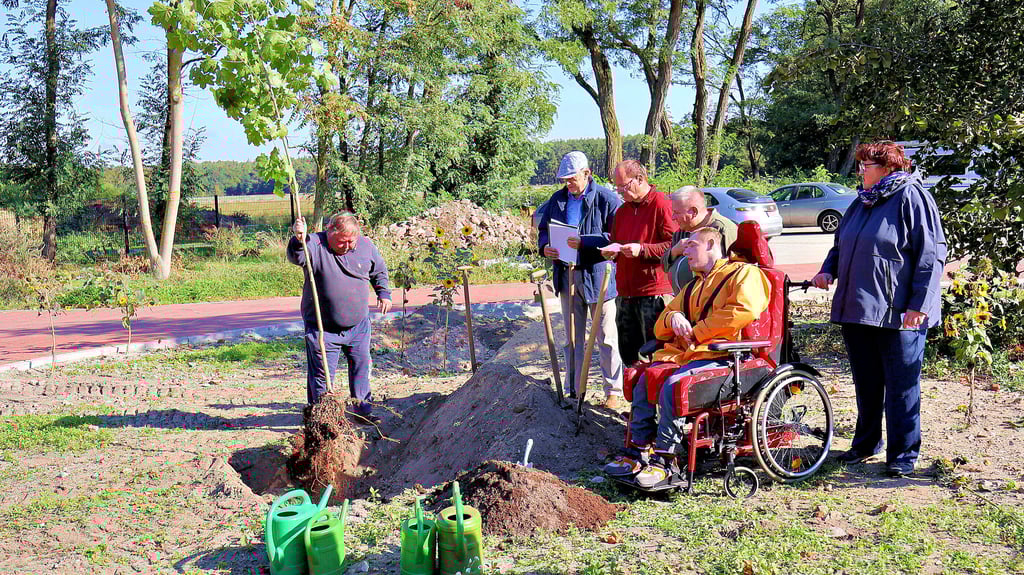 Auf dem Diest-Hof in Seyda haben Bewohner und Mitarbeiter einen Baum des Friedens gepflanzt, einen Ahorn.