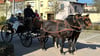 Die Volkssolidaität Barleben hat Hildegard Brüggemann (links) zu ihrem 100. Geburtstag eine Kutschfahrt durch ihren Heimatort geschenkt. 