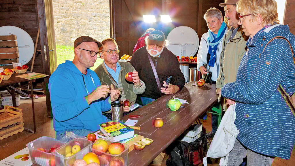 Obstsortenschau im Wehrturm am Detmolder Garten: Informationen und Beratung gab es durch den Pomologenverein. Miché Simon-Najasek und Walter Janovsky bestimmten von Besuchern mitgebrachte Äpfel.