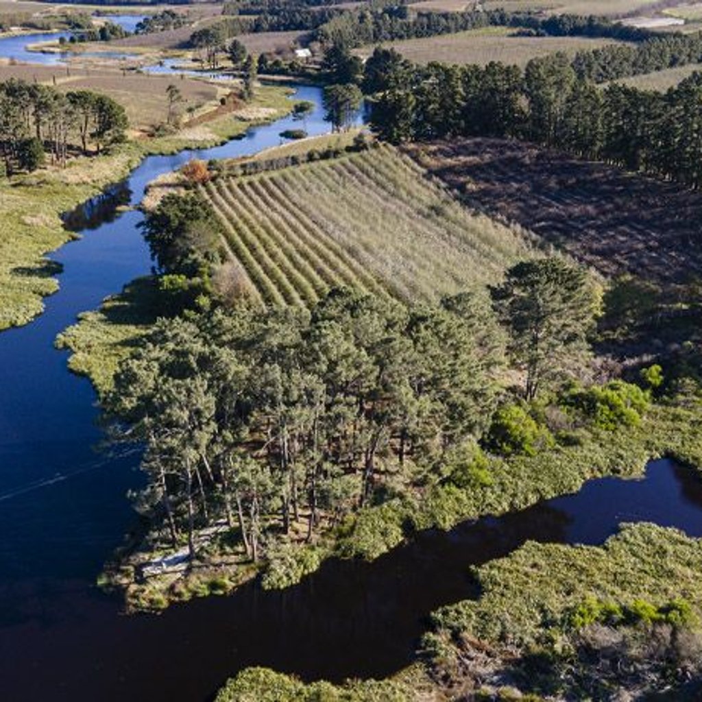 EDEKA unterstützt drei neue Projekte in wasserkritischen Anbauregionen.