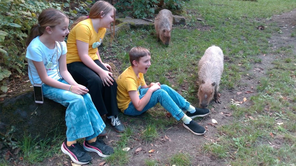 Schüler der Grundschule Am Vogelgesang haben die Patenschaft für eines der neuen Capybaras im Zoo Magdeburg übernommen.