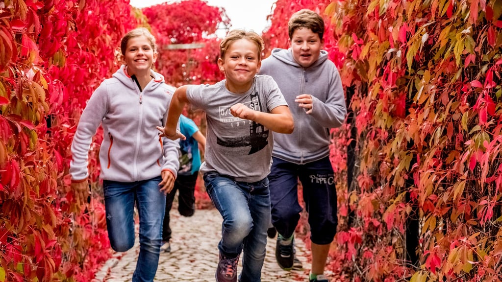 Der Elbauenpark in Magdeburg bietet wieder ein buntes Herbstferienprogramm an.