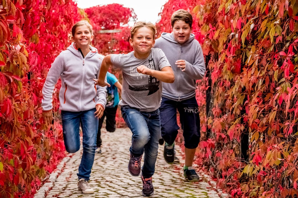 Der Elbauenpark in Magdeburg bietet wieder ein buntes Herbstferienprogramm an.
