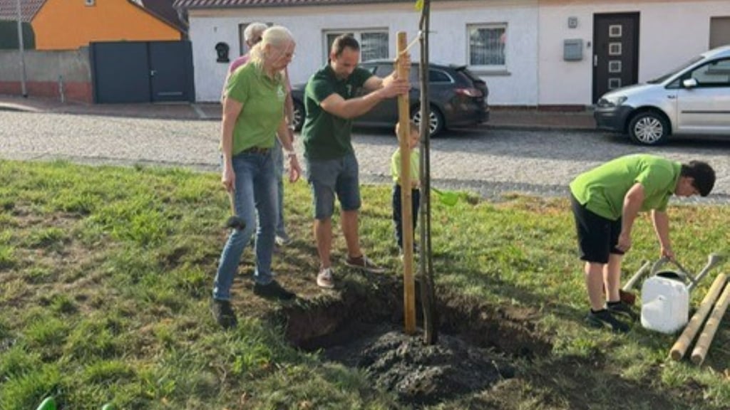 Die Mitglieder des Pareyer Heimatvereins pflanzen neue Bäume im Ort.