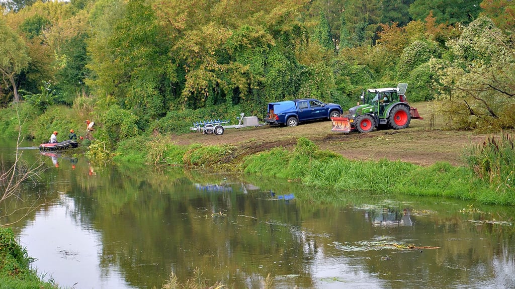 Noch keine Vermessung, sondern eine „Gewässerunterhaltungsmaßnahme“ durch Mitarbeiter des Flussbereichs Halberstadt. Nahe der Bodebrücke Steinstraße in Staßfurt wurden Anfang September zwei Bäume beseitigt, die einen ungehinderten Durchfluss gefährdeten.
