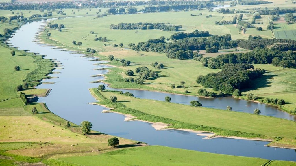 Die Erosionsstrecke der Elbe bei Klöden: 170 Buhnen müssen gekürzt und abgesenkt werden.