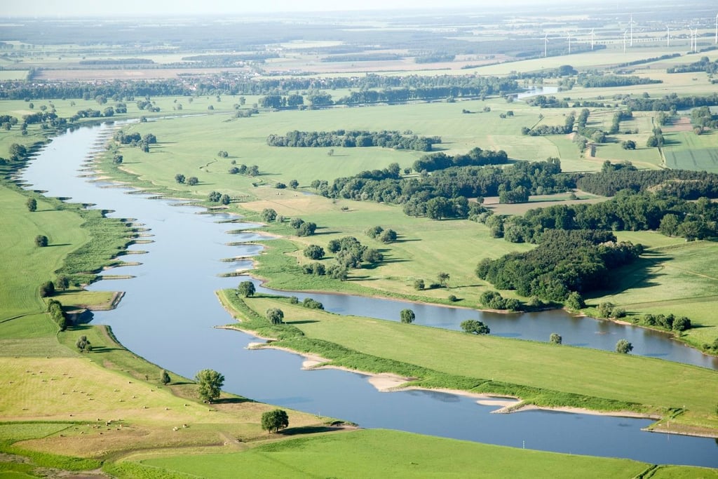 Die Erosionsstrecke der Elbe bei Klöden. 170 Buhnen müssen gekürzt und abgesenkt werden.