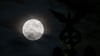 Der Mond kommt der Erde näher. (Archivbild)