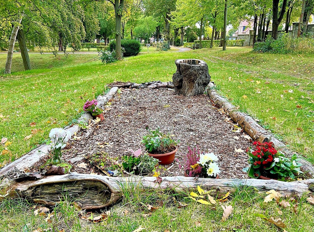 Oberhalb des Gletschergartens auf Friedhof III sind naturnahe Bestattungen auf einer Wiese möglich.