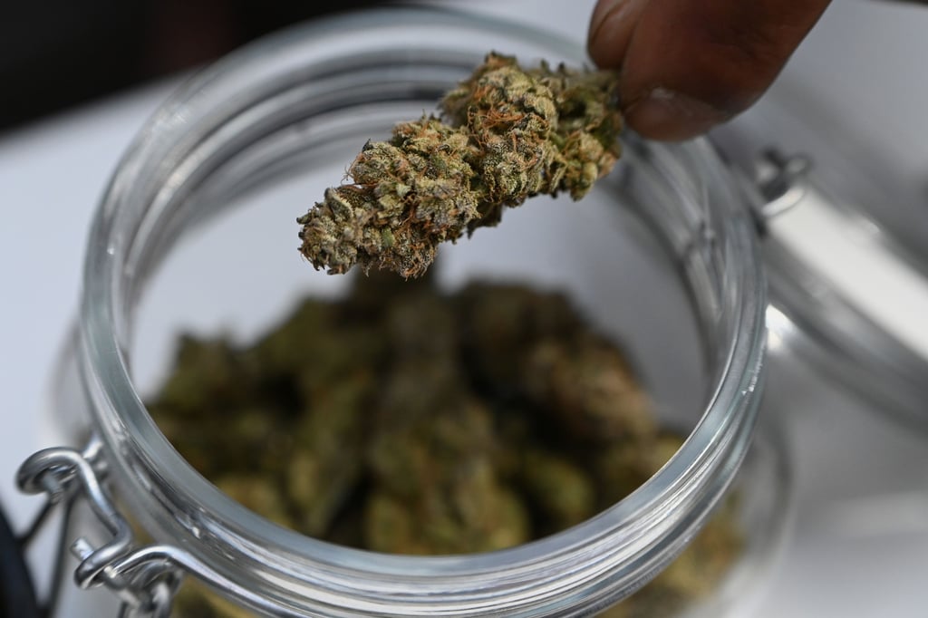 Der private Anbau von Cannabis ist seit 2024 in Deutschland in engen Grenzen legal. Polizei und Justiz sehen sich durch die Gesetzeslockerung aber bisher nicht entlastet.