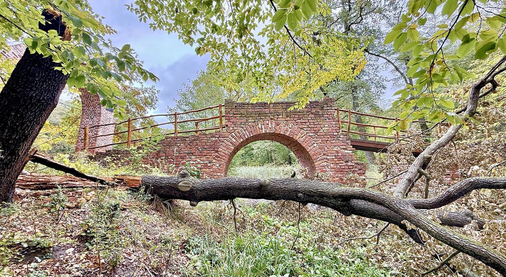 Der Baum fiel knapp neben die Ruinenbrücke.