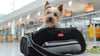 Ab in die Tasche: Kleine Hunde können mitunter in der Kabine mitfliegen.