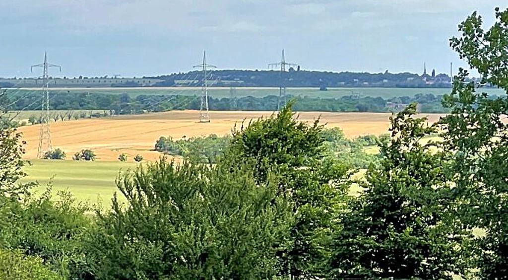 Östlich der Autobahn 14, zwischen Plötzkau und Aderstedt, soll in einem 500-Meter-Korridor ein rund 40 Hektar großer Solarpark entstehen.