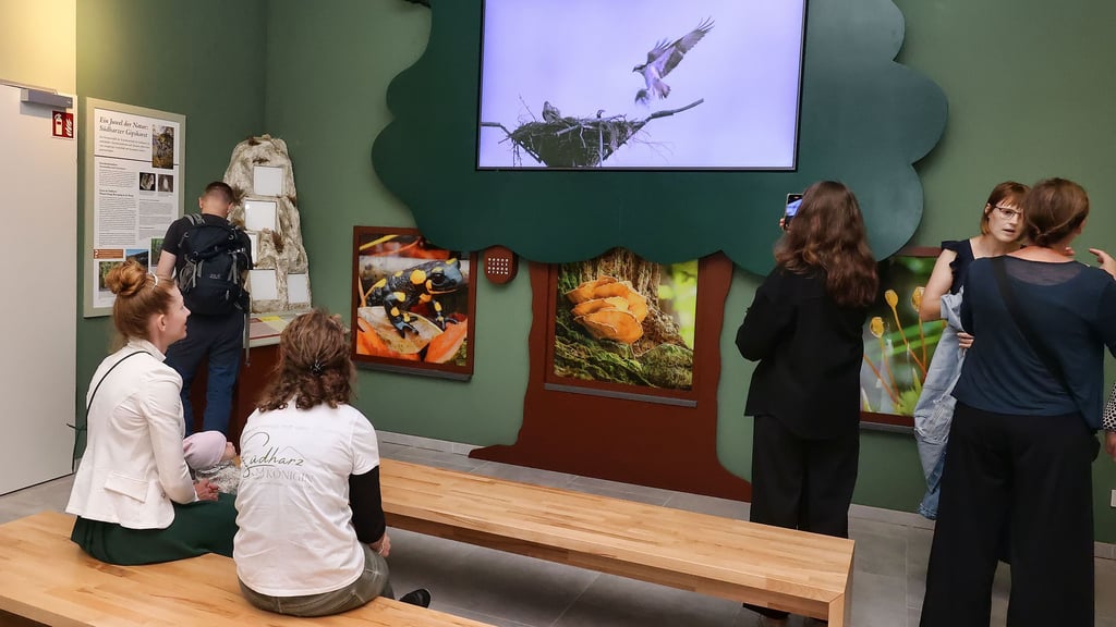 Die neue Ausstellung mit vielen interaktiven Elementen lädt seit Juni ins Informationszentrum an der Heimkehle Uftrungen ein. Hier ein Foto von der Eröffnung.