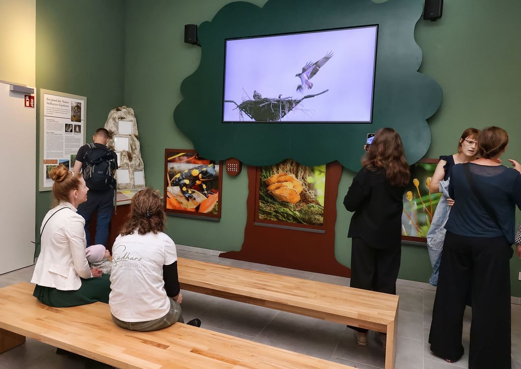 Neue Ausstellung in der Heimkehle