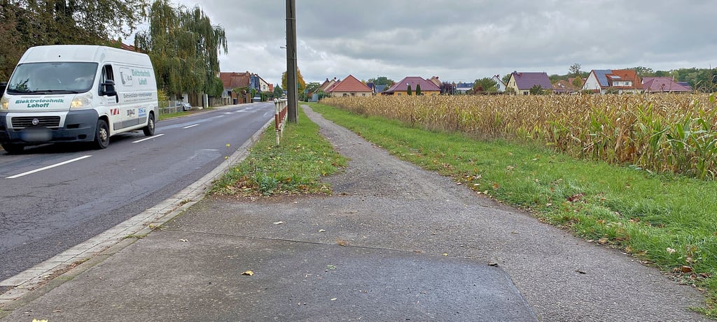 Der Zustand des Rad- und Gehweges in Elbenau ist nicht gut, deswegen soll dieser ausgebaut werden.