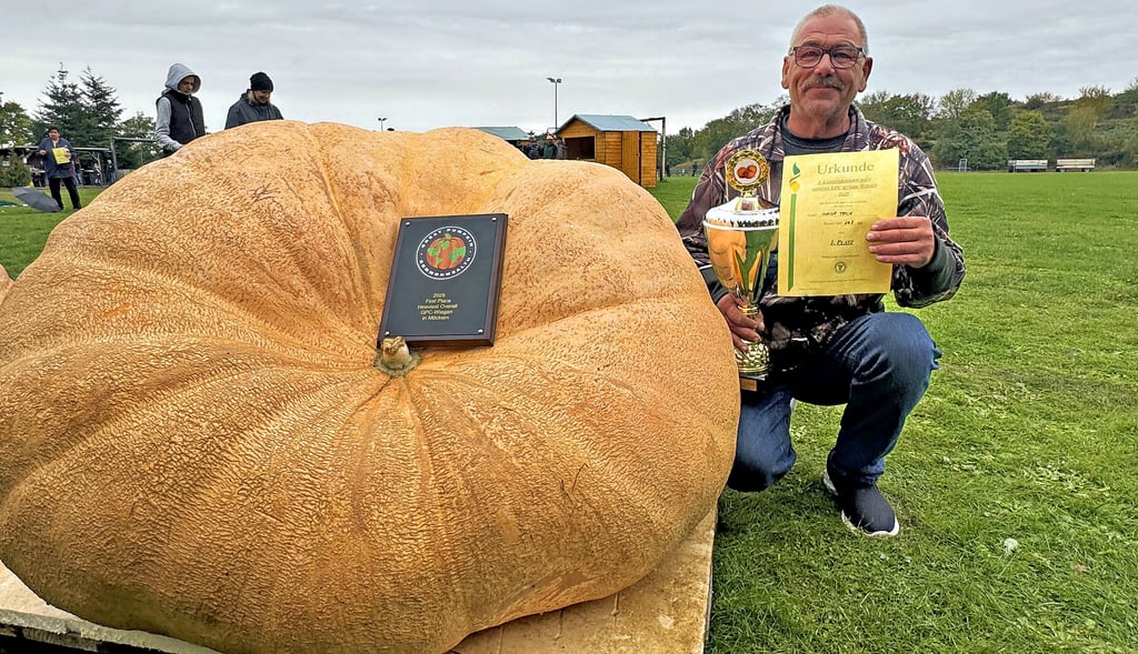 Bei der 5. Landesmeisterschaft GPC Kürbiswiegen in Möckern der Sieger:ein 343-Kilo-Kurbis und sein Besitzer.