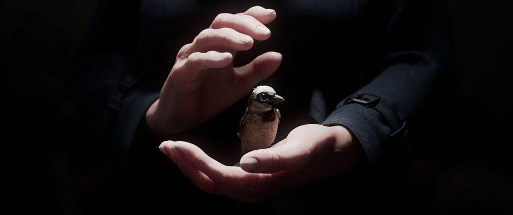 Der Kurzfilm „A Sparrow's Song“ gehört zu den großen Gewinnern der Preisverleihung.