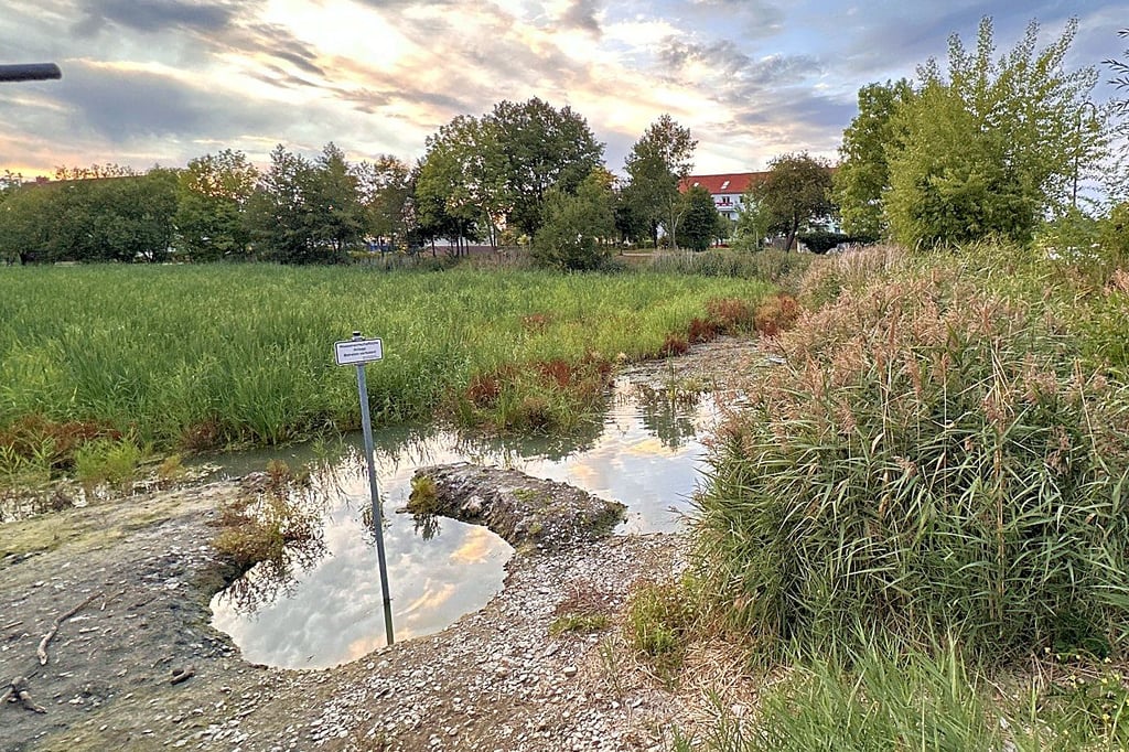 Die Arbeiten am Kurtsteich in Wernigerode dauern an, zwischenzeitlich steigt und fällt der Wasserspiegel.