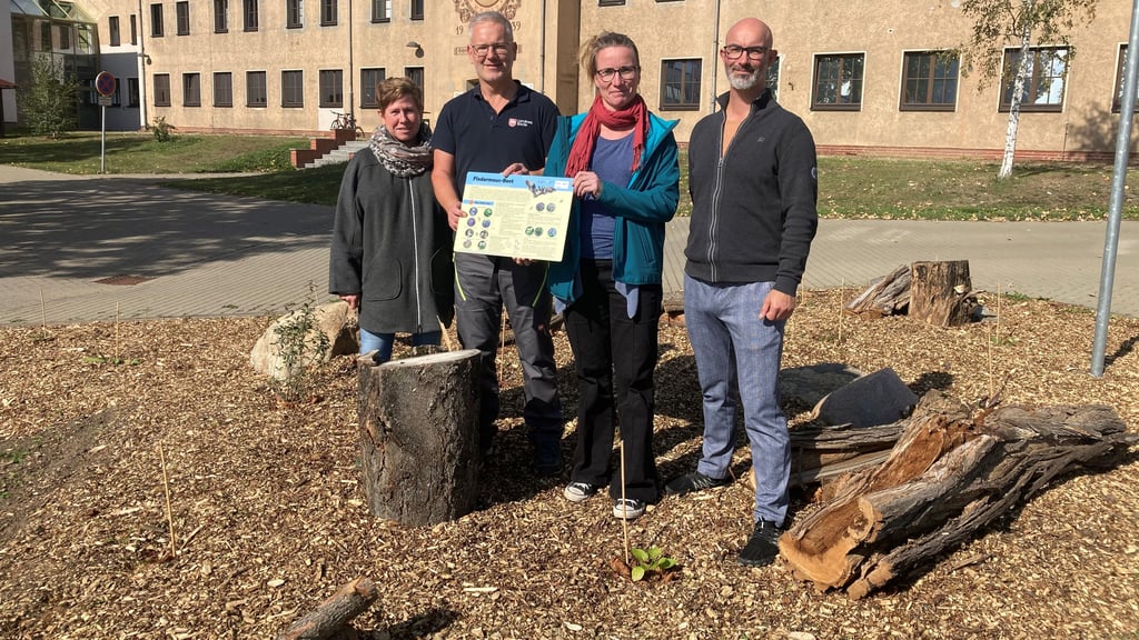 Kathleen Bergmann (l.), Mario Koch, Maria Malorni und Arnold Gerbothe stehen auf dem neuen Staudenbeet, welches extra für den Schutz der Fledermäuse angelegt wurde.