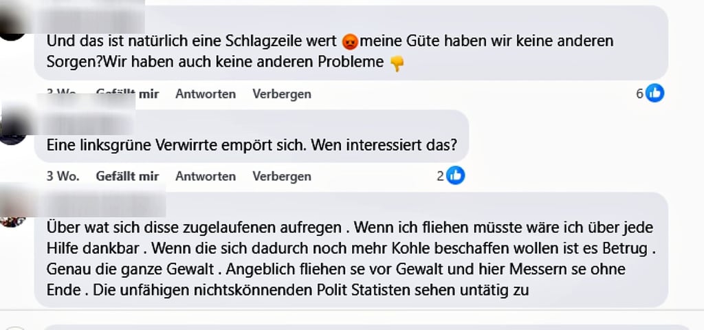 Hass und Hetze im Internet, hier unter einem Beitrag der Volksstimme Altmark auf Facebook – was strafbar ist und was nicht, darüber entscheiden am Ende Gerichte.