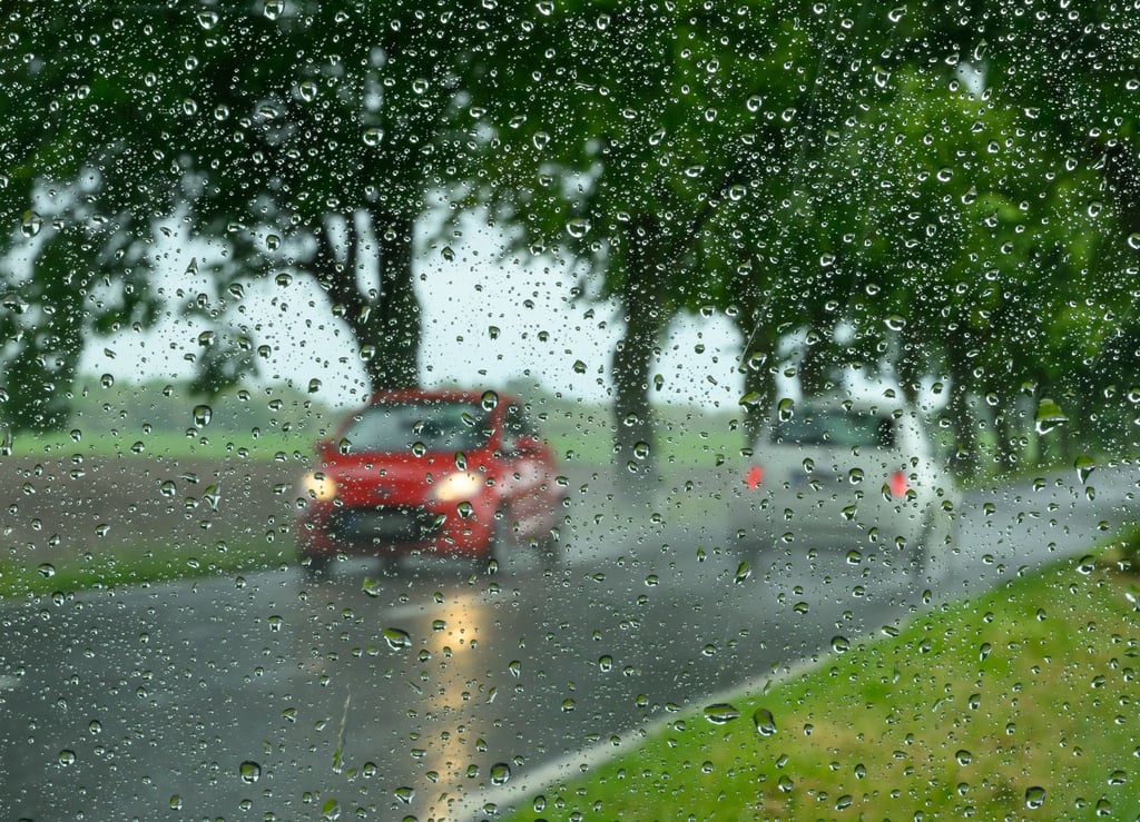 Höchsttemperaturen bis zu 17 Grad kündigt der Deutsche Wetterdienst (DWD) in den nächsten Tagen für Berlin und Brandenburg an. (Symbolbild)