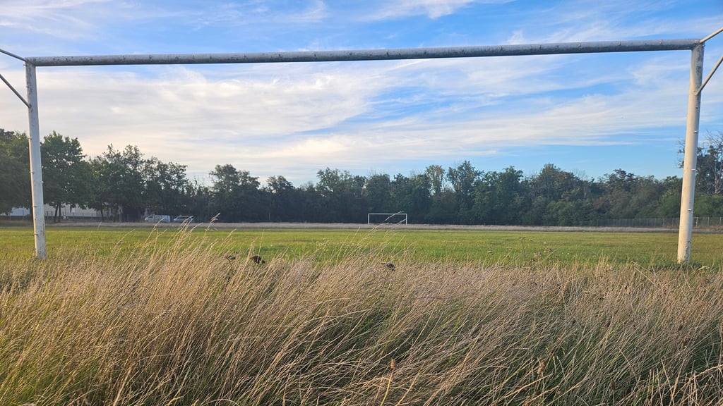Über die Geschichte des Sports im Magdeburger Friedensweiler wird bald Gras gewachsen sein.