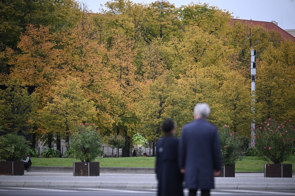 Berlin könnte in den kommenden Jahren deutlich mehr Bäume bekommen. (Archivfoto)