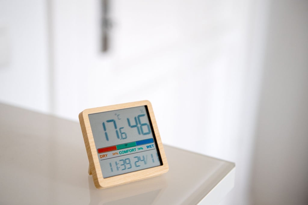 Mit einem Hygrometer lässt sich die Luftfeuchtigkeit messen. Vor Wänden und Co. sollte sie nicht zu lange über 50 Prozent liegen.